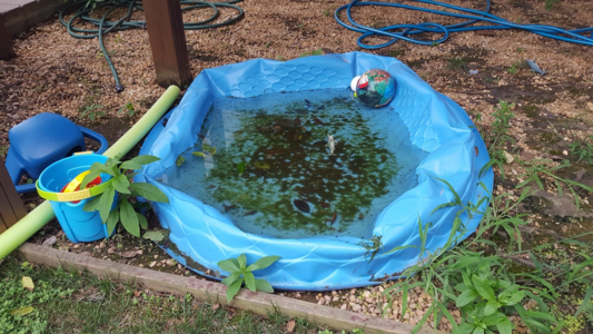 Clean up and empty containers